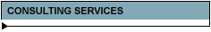 CONSULTING SERVICES